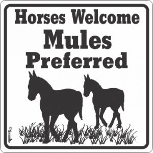 Mules Prefered